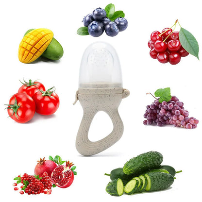 Baby Fruit Feeder